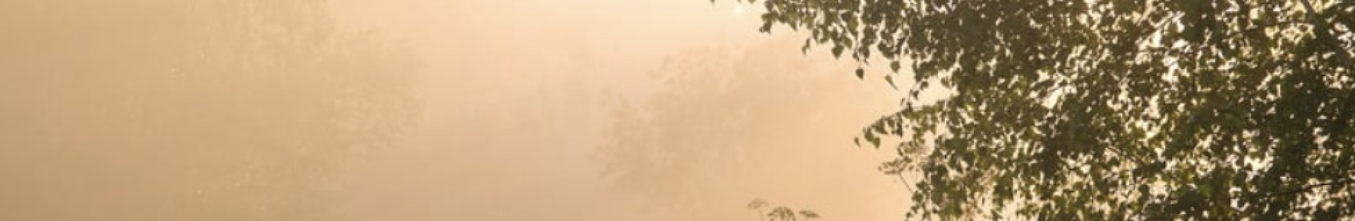 Scherm­afbeelding 2025-07-19 om 11.56.38